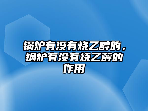 鍋爐有沒有燒乙醇的，鍋爐有沒有燒乙醇的作用