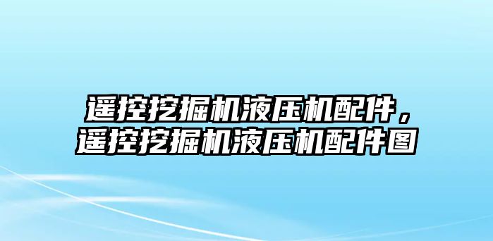 遙控挖掘機(jī)液壓機(jī)配件，遙控挖掘機(jī)液壓機(jī)配件圖