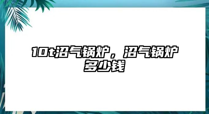 10t沼氣鍋爐，沼氣鍋爐多少錢