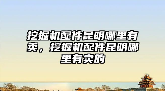 挖掘機配件昆明哪里有賣，挖掘機配件昆明哪里有賣的