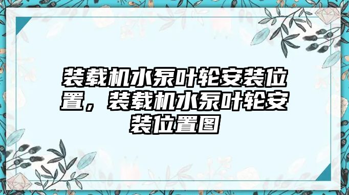 裝載機(jī)水泵葉輪安裝位置，裝載機(jī)水泵葉輪安裝位置圖