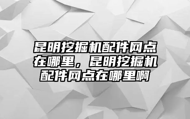 昆明挖掘機(jī)配件網(wǎng)點(diǎn)在哪里，昆明挖掘機(jī)配件網(wǎng)點(diǎn)在哪里啊