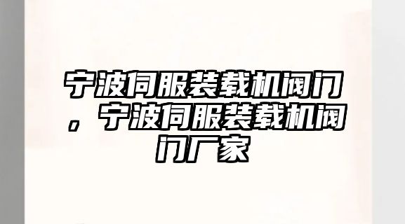 寧波伺服裝載機閥門，寧波伺服裝載機閥門廠家