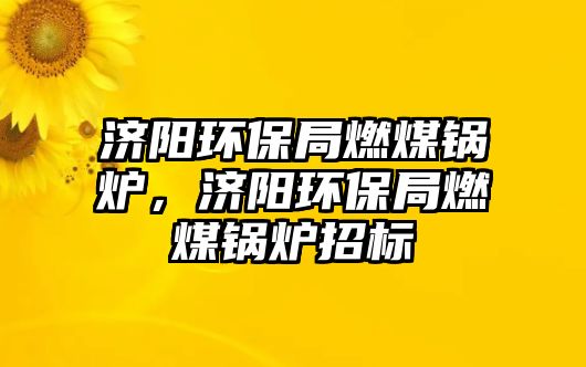 濟(jì)陽環(huán)保局燃煤鍋爐，濟(jì)陽環(huán)保局燃煤鍋爐招標(biāo)