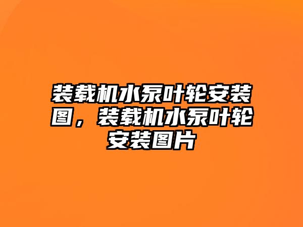 裝載機水泵葉輪安裝圖，裝載機水泵葉輪安裝圖片