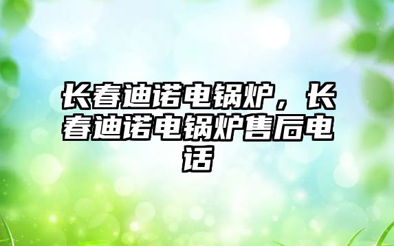 長春迪諾電鍋爐，長春迪諾電鍋爐售后電話