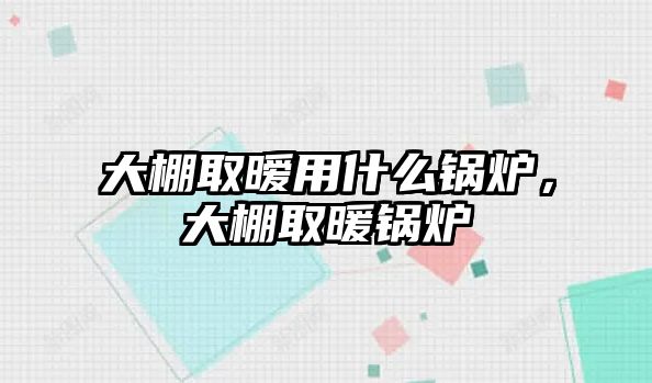 大棚取曖用什么鍋爐，大棚取暖鍋爐