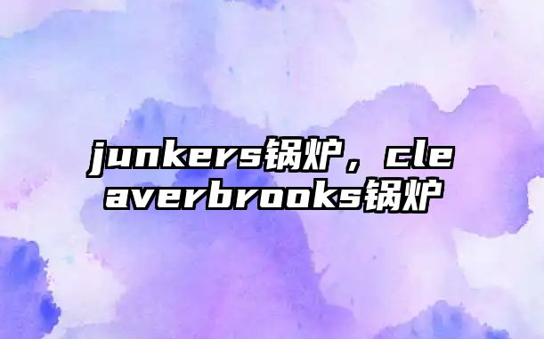 junkers鍋爐，cleaverbrooks鍋爐