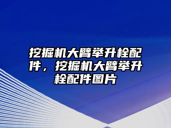 挖掘機(jī)大臂舉升栓配件，挖掘機(jī)大臂舉升栓配件圖片