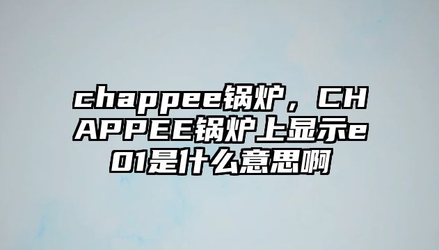 chappee鍋爐，CHAPPEE鍋爐上顯示e01是什么意思啊