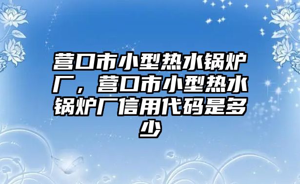 營口市小型熱水鍋爐廠，營口市小型熱水鍋爐廠信用代碼是多少