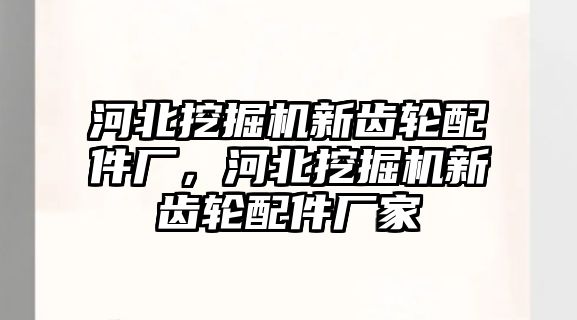 河北挖掘機(jī)新齒輪配件廠，河北挖掘機(jī)新齒輪配件廠家