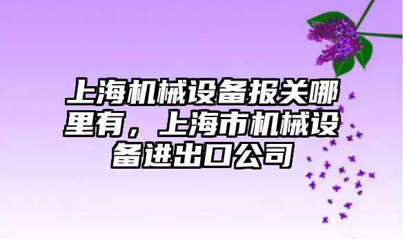 上海機械設(shè)備報關(guān)哪里有，上海市機械設(shè)備進出口公司