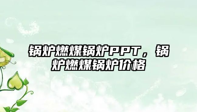 鍋爐燃煤鍋爐PPT，鍋爐燃煤鍋爐價(jià)格