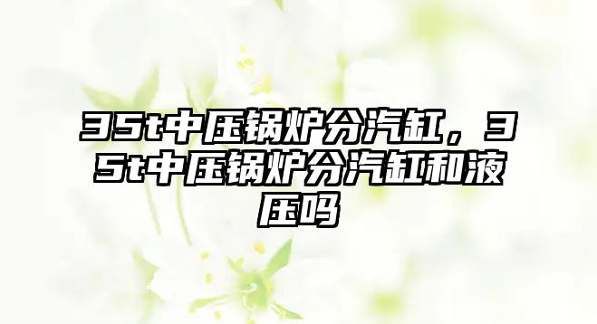 35t中壓鍋爐分汽缸，35t中壓鍋爐分汽缸和液壓?jiǎn)?/>	
								</i>
								<p class=