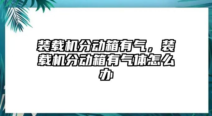 裝載機分動箱有氣，裝載機分動箱有氣體怎么辦