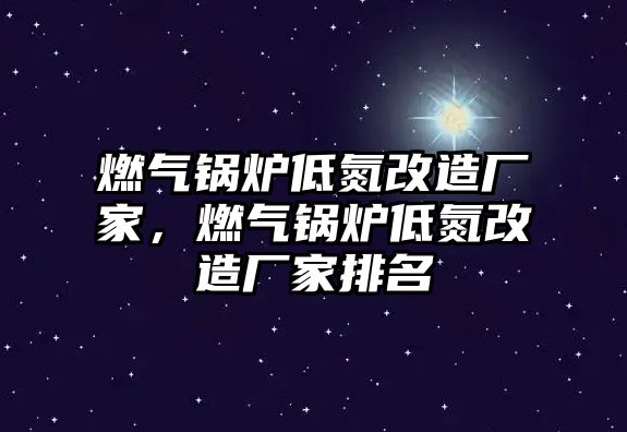 燃?xì)忮仩t低氮改造廠家，燃?xì)忮仩t低氮改造廠家排名