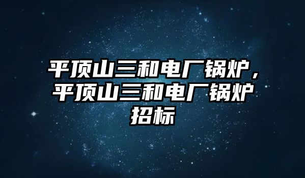 平頂山三和電廠鍋爐，平頂山三和電廠鍋爐招標(biāo)