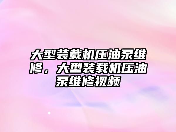 大型裝載機壓油泵維修，大型裝載機壓油泵維修視頻