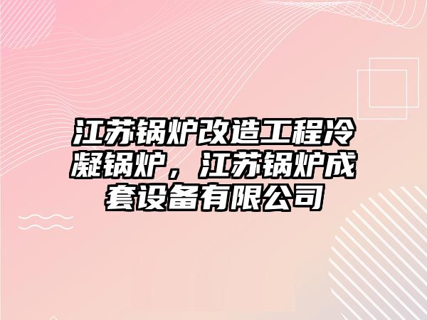 江蘇鍋爐改造工程冷凝鍋爐，江蘇鍋爐成套設(shè)備有限公司