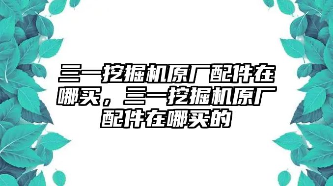 三一挖掘機(jī)原廠配件在哪買，三一挖掘機(jī)原廠配件在哪買的