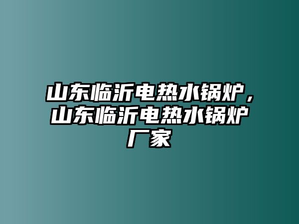 山東臨沂電熱水鍋爐，山東臨沂電熱水鍋爐廠家