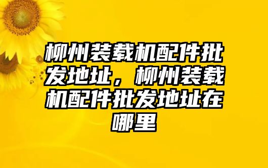 柳州裝載機配件批發(fā)地址，柳州裝載機配件批發(fā)地址在哪里