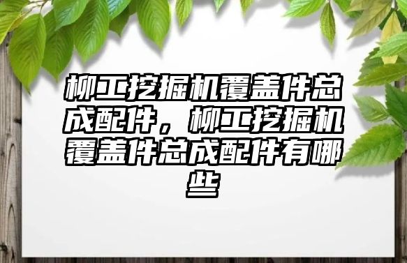 柳工挖掘機(jī)覆蓋件總成配件，柳工挖掘機(jī)覆蓋件總成配件有哪些