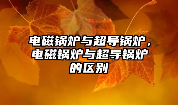 電磁鍋爐與超導(dǎo)鍋爐，電磁鍋爐與超導(dǎo)鍋爐的區(qū)別