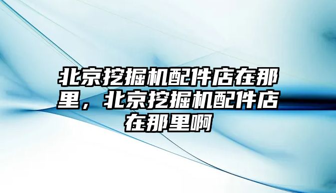 北京挖掘機(jī)配件店在那里，北京挖掘機(jī)配件店在那里啊