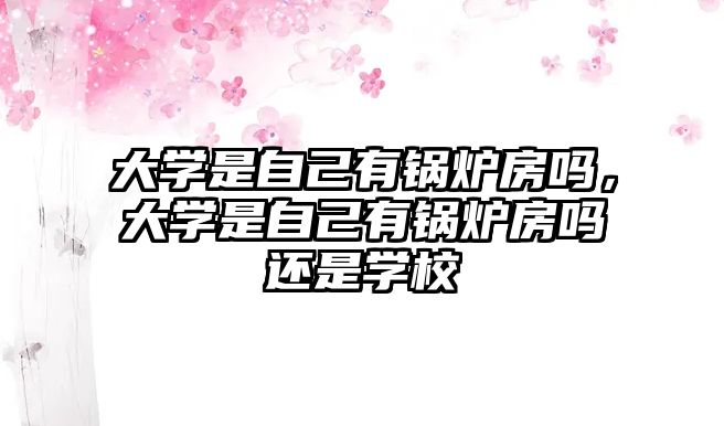 大學(xué)是自己有鍋爐房嗎，大學(xué)是自己有鍋爐房嗎還是學(xué)校