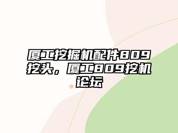 廈工挖掘機配件809挖頭，廈工809挖機論壇