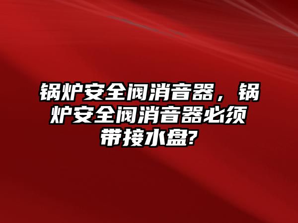 鍋爐安全閥消音器，鍋爐安全閥消音器必須帶接水盤(pán)?