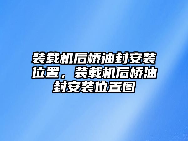 裝載機后橋油封安裝位置，裝載機后橋油封安裝位置圖