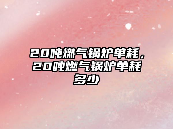 20噸燃?xì)忮仩t單耗，20噸燃?xì)忮仩t單耗多少