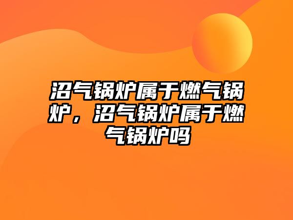 沼氣鍋爐屬于燃?xì)忮仩t，沼氣鍋爐屬于燃?xì)忮仩t嗎