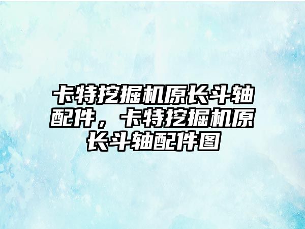 卡特挖掘機原長斗軸配件，卡特挖掘機原長斗軸配件圖