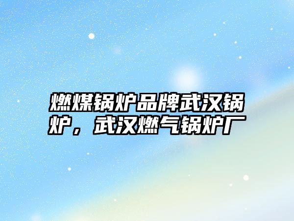 燃煤鍋爐品牌武漢鍋爐，武漢燃?xì)忮仩t廠