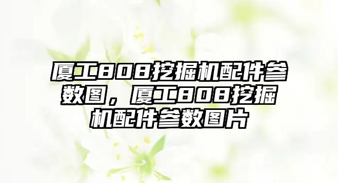 廈工808挖掘機配件參數(shù)圖，廈工808挖掘機配件參數(shù)圖片