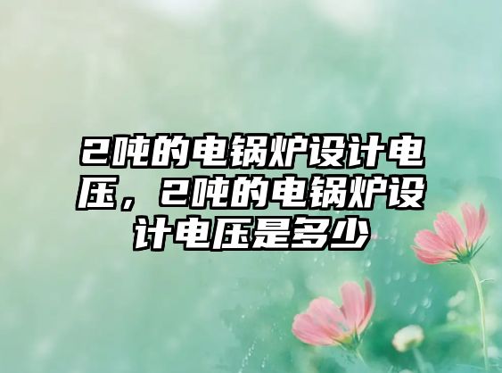 2噸的電鍋爐設(shè)計(jì)電壓，2噸的電鍋爐設(shè)計(jì)電壓是多少