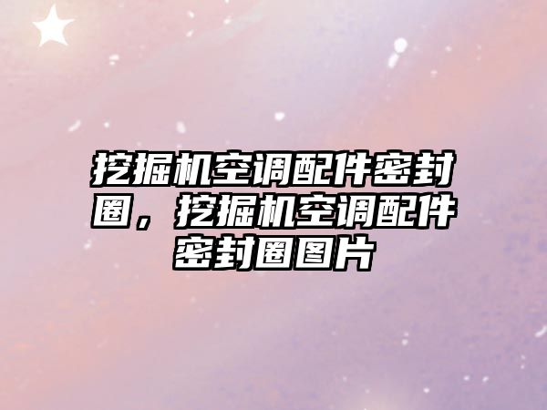 挖掘機(jī)空調(diào)配件密封圈，挖掘機(jī)空調(diào)配件密封圈圖片