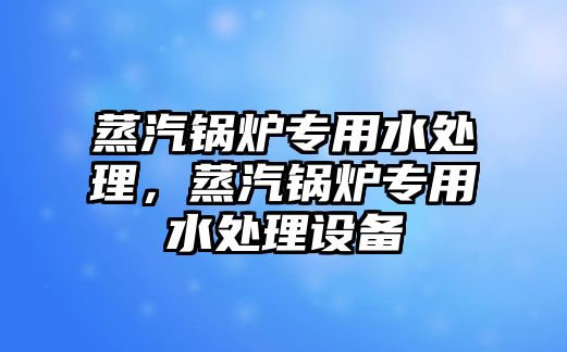 蒸汽鍋爐專用水處理，蒸汽鍋爐專用水處理設(shè)備