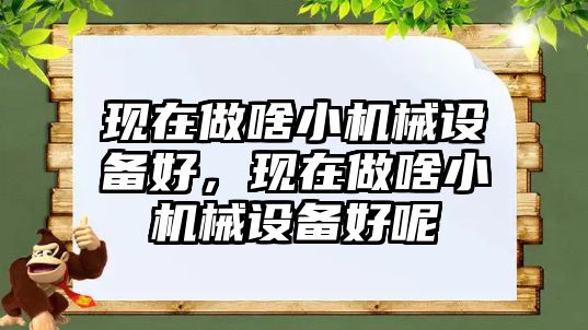 現(xiàn)在做啥小機(jī)械設(shè)備好，現(xiàn)在做啥小機(jī)械設(shè)備好呢