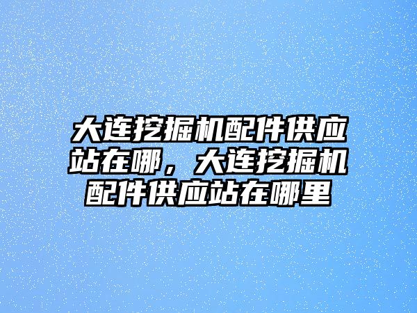 大連挖掘機(jī)配件供應(yīng)站在哪，大連挖掘機(jī)配件供應(yīng)站在哪里