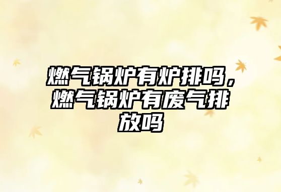 燃?xì)忮仩t有爐排嗎，燃?xì)忮仩t有廢氣排放嗎