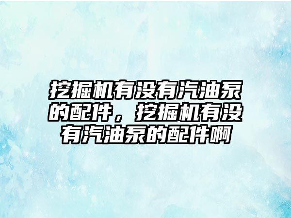 挖掘機(jī)有沒有汽油泵的配件，挖掘機(jī)有沒有汽油泵的配件啊