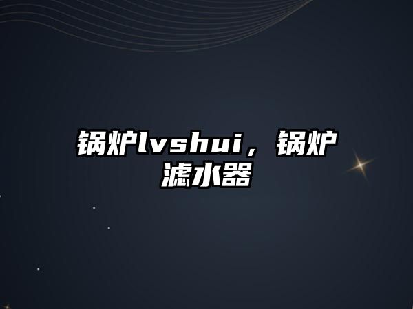 鍋爐lvshui，鍋爐濾水器