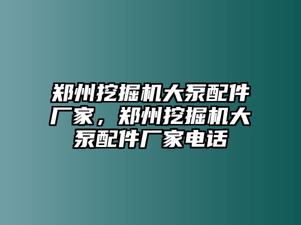 鄭州挖掘機(jī)大泵配件廠家，鄭州挖掘機(jī)大泵配件廠家電話