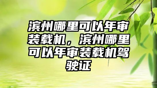 濱州哪里可以年審裝載機，濱州哪里可以年審裝載機駕駛證