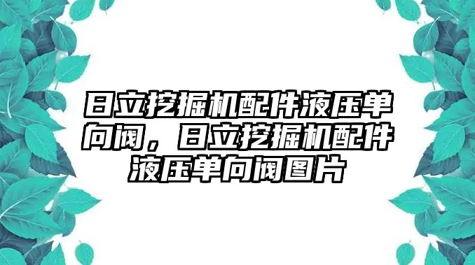 日立挖掘機(jī)配件液壓單向閥，日立挖掘機(jī)配件液壓單向閥圖片